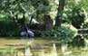 Golden Gate Park